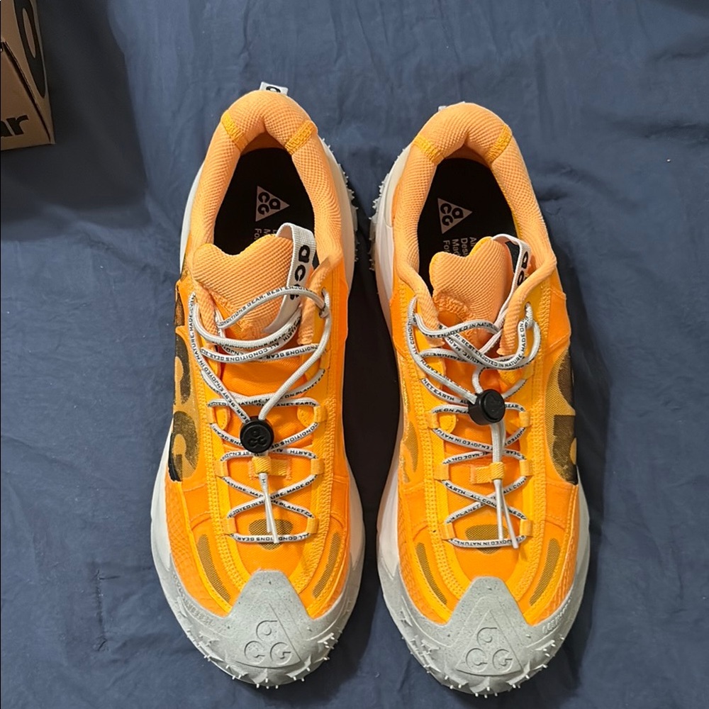 Nike ACG Mountain Fly 2 Low